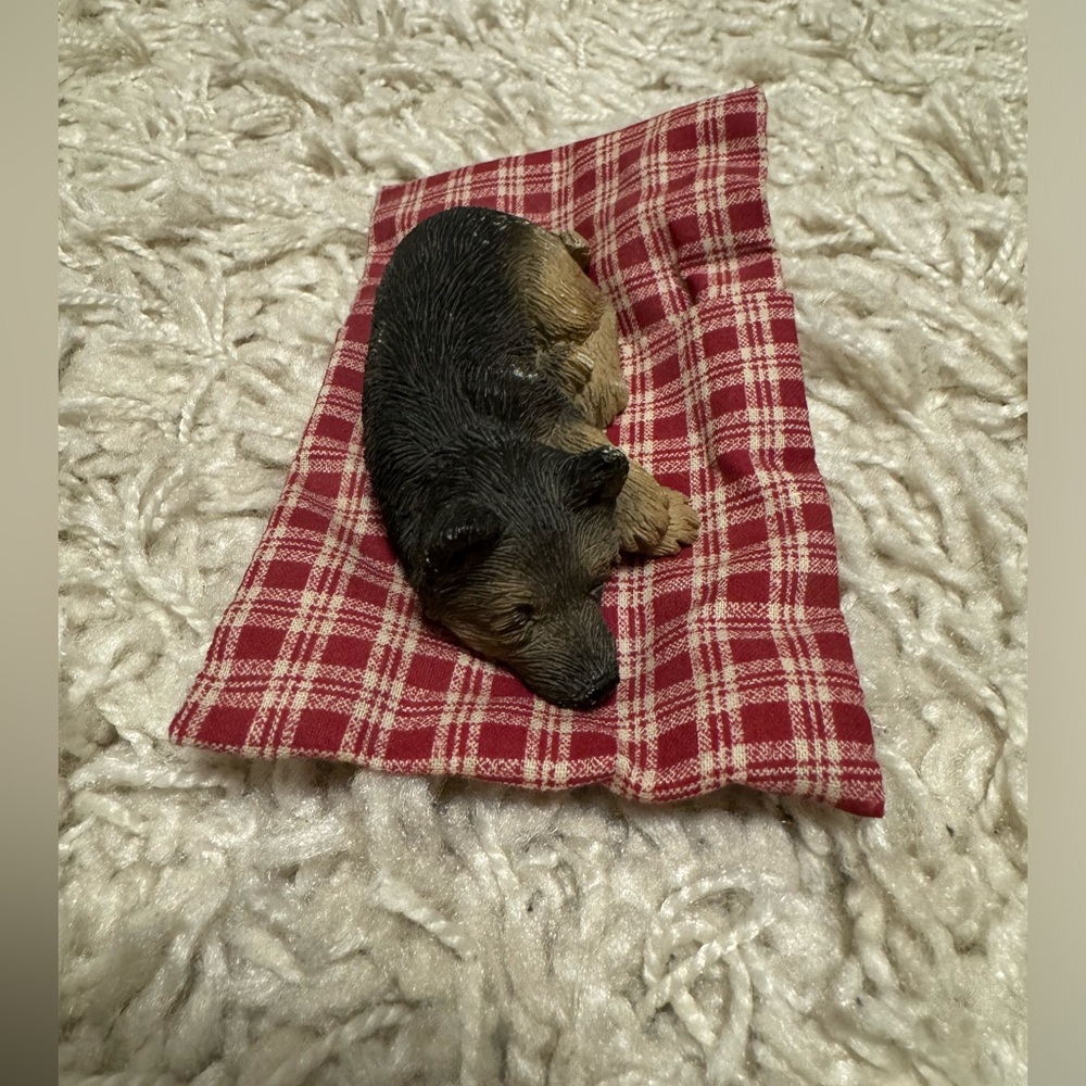 Sandicast sleeping German Shepherd